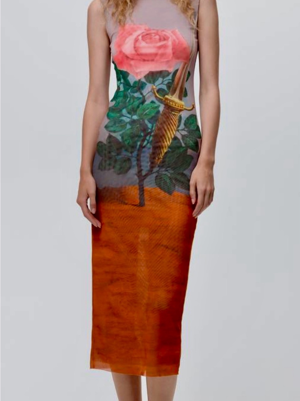Zara René Magritte Print Tulle Dress
